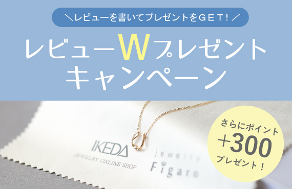レビューWプレゼントキャンペーン
