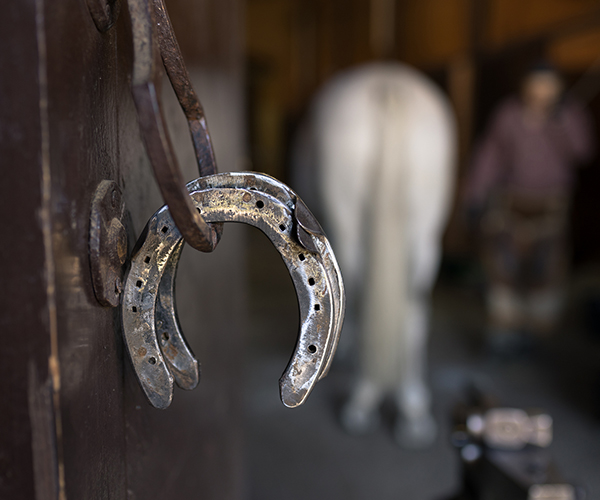 ひっかけれてた馬蹄