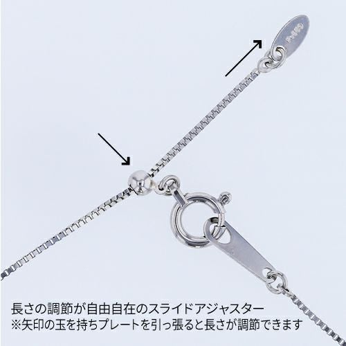 鑑定書付 0.12ct プラチナ ダイヤモンド ネックレス | IKEDAジュエリー