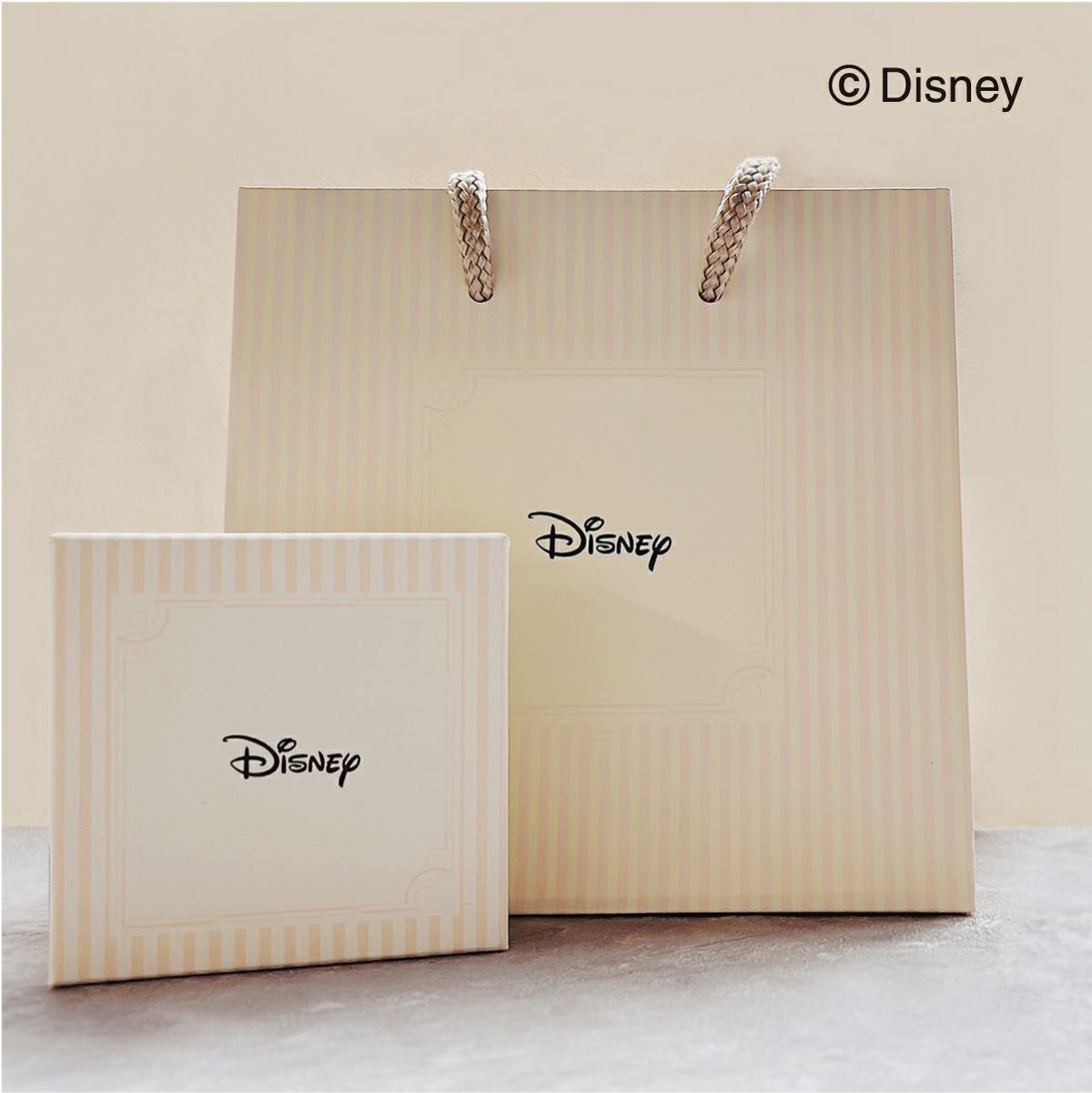 ディズニー 白雪姫 / キュービックジルコニア シルバー ネックレス